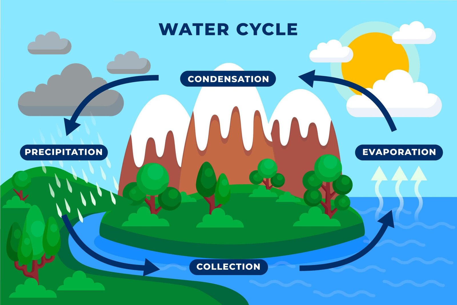 water cycle illustration